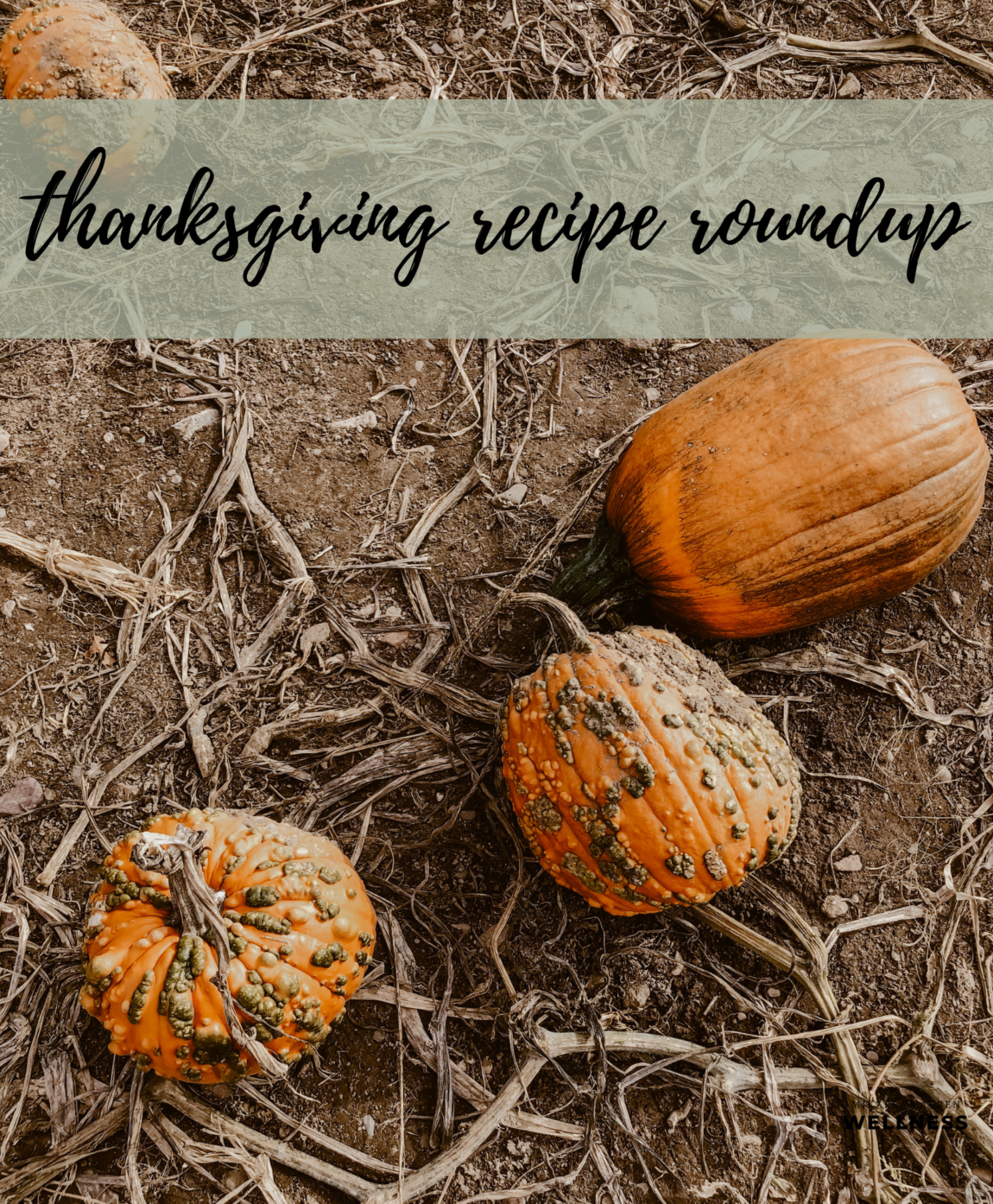 Mikaela Lauren Wellness Thanksgiving Recipe Roundup